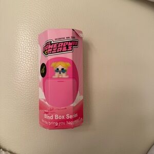 Powerpuff Girls Blind Box Series